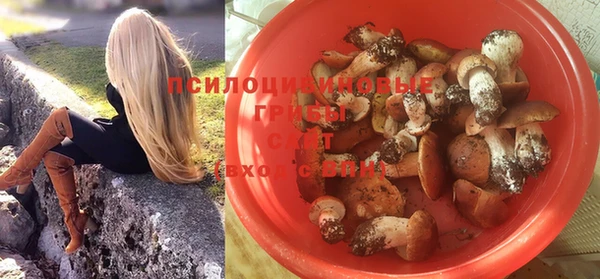 индика Алзамай