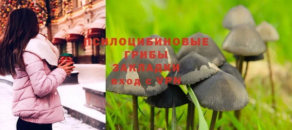 круглые Алексеевка