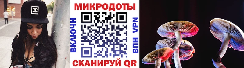Псилоцибиновые грибы мухоморы Куйбышев